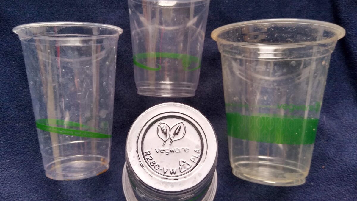 Plástico biodegradável: o que é, como funciona e quais os desafios?